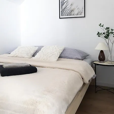Apartamenty Goszowianka Stronie Śląskie Exterior foto