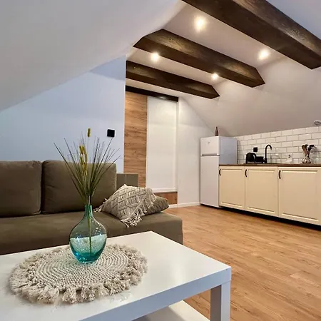Apartamenty Goszowianka Stronie Śląskie Exterior foto