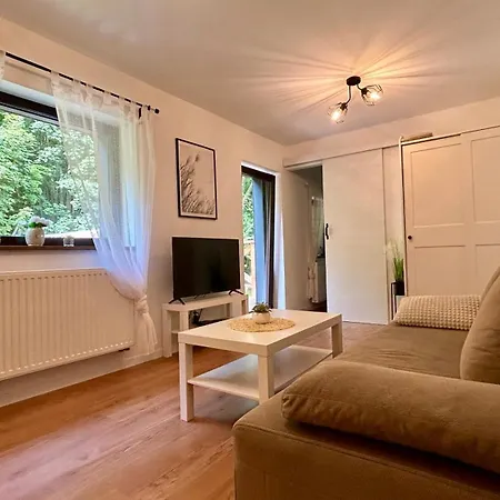 Apartamenty Goszowianka Stronie Śląskie Exterior foto