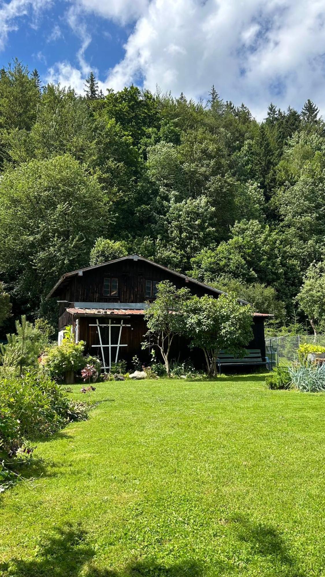 Goszowianka *